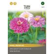 Zinnia, reuzen mix zaden kopen
