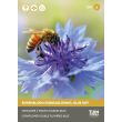 Korenbloem zaden Tuin de Bruijn