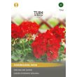 Tuingeranium zaden