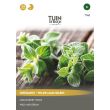 Oregano zaden