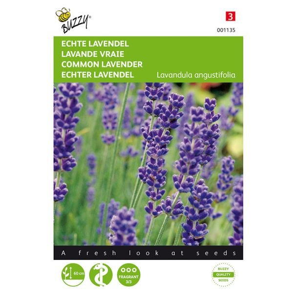 Lavendel zaden zaaien