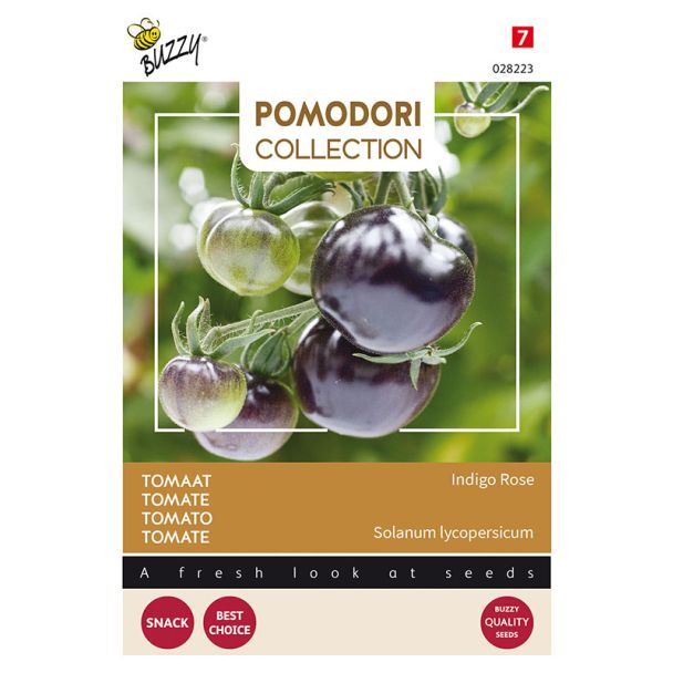 Tomaat Indigo rose | Pomodori