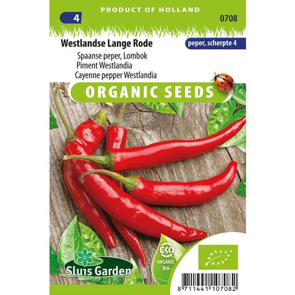 Spaanse peper, Lombok - Westlandse Lange Rode (BIO)