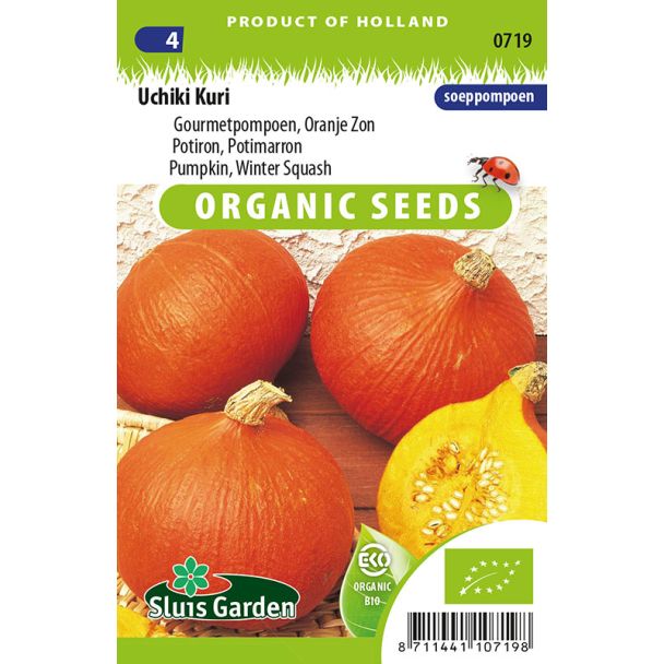 Gourmet pompoen, Oranje Zon Uchiki Kuri (BIO)