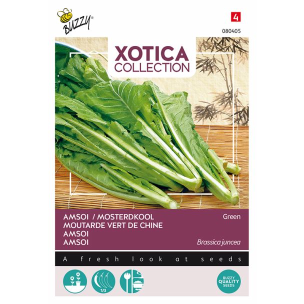 Buzzy groene Amsoi / Mosterdkool  | Xotica