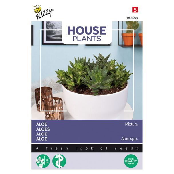 Buzzy Aloë mengsel | House Plants