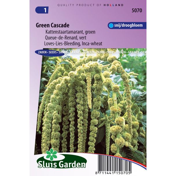 Kattenstaart Green Cascade
