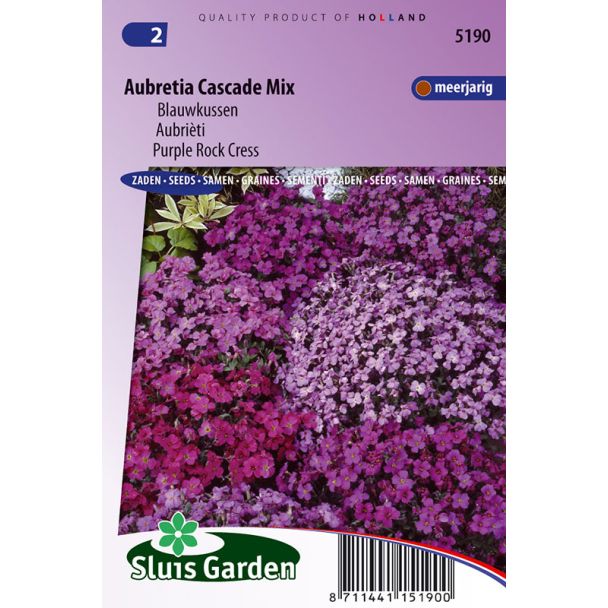 Blauwkussen - Aubretia Mix