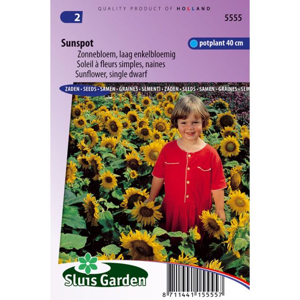 Zonnebloem Sunspot, laag