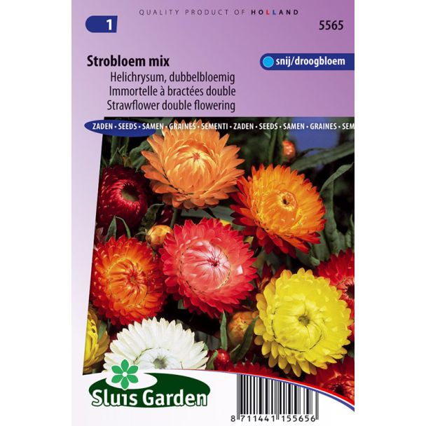 Strobloem Mix, dubbelbloemig