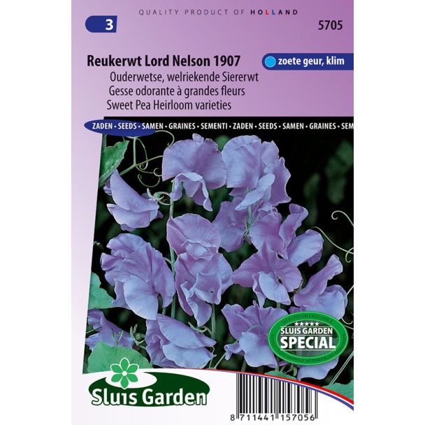Reukerwt Lord Nelson 1907 (Lathyrus)