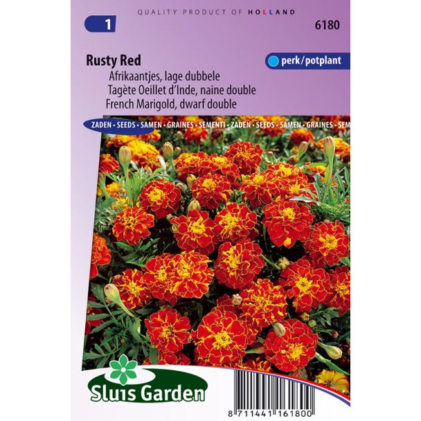 Afrikaan, lage - Rust Red