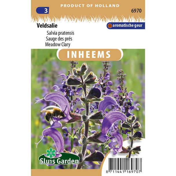 Veldsalie | Inheemse bloemenzaden