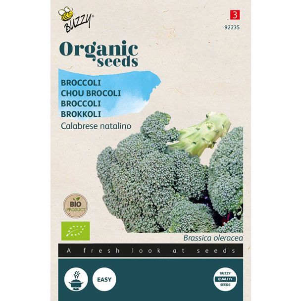 Broccoli Calabrese natalino