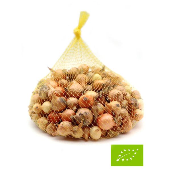 Biologische plantuien kopen