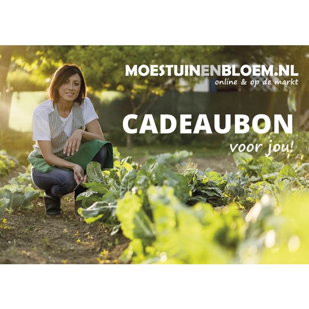 Cadeaubon 50 euro