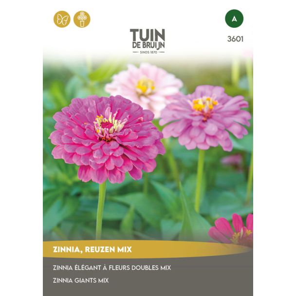 Zinnia, reuzen mix zaden kopen