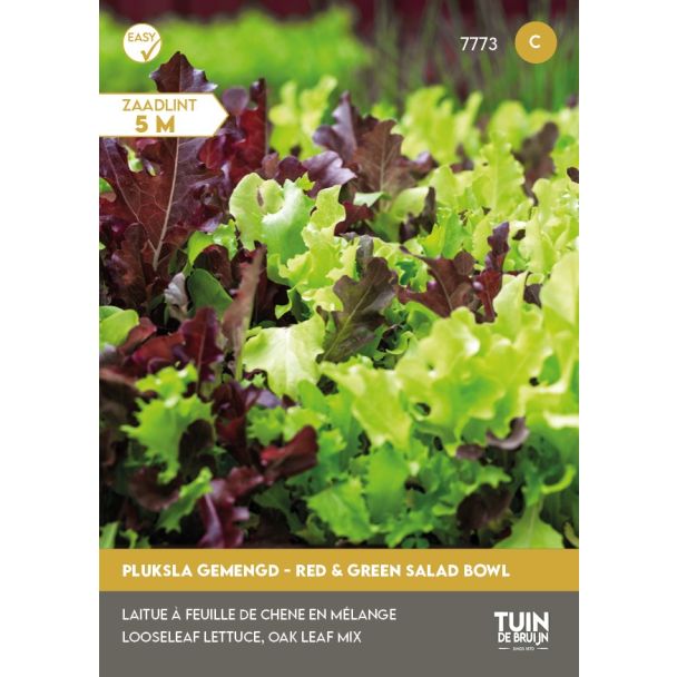 Pluksla gemengd - Red & Green Salad bowl - Zaadlint | Tuin de Bruijn