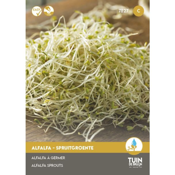 Alfalfa Spruitgroente