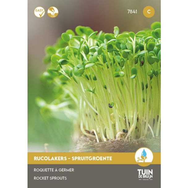 Rucolakers spruitgroente