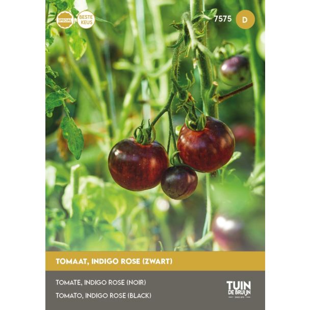 Tomaat Indigo Rose | Tuin de Bruijn