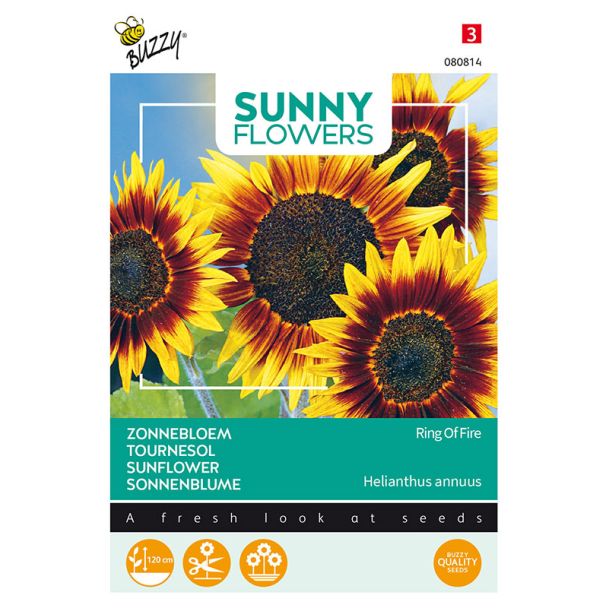 Zonnebloem Ring of Fire | Sunny Flowers