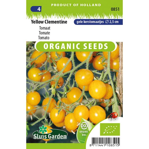 Tomaat Yellow Clementine (BIO)