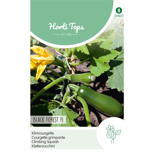 Courgette Black Forest F1 (klimmend)
