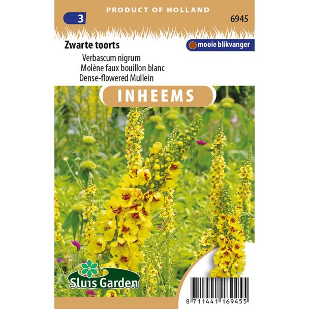 Zwarte toorts | Inheemse bloemenzaden