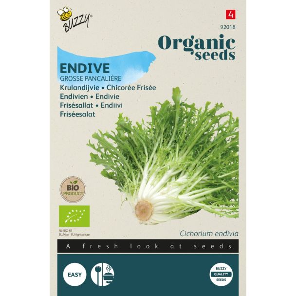 Organic Krulandijvie Grosse Pancalière (BIO)