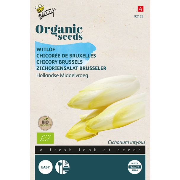 Organic Witlof Hollandse Middelvroeg (BIO)