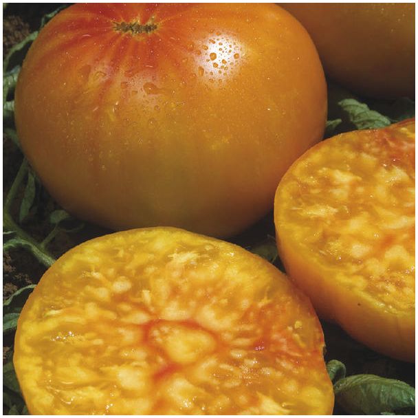 ananas tomaat