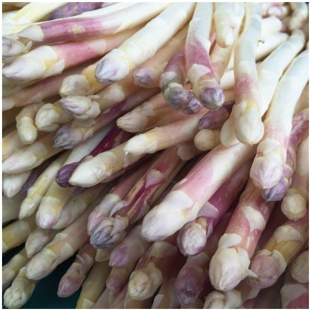 Asperges van de aspergeklauwen van moestuinenbloem.nl