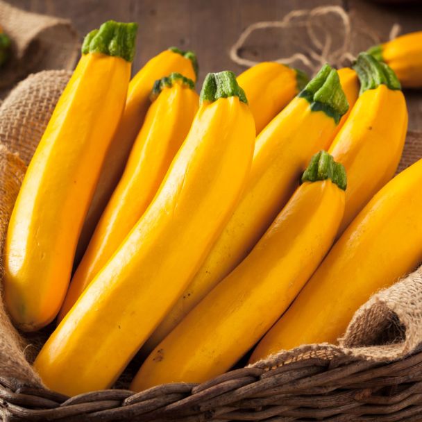 Mooie oogst gele courgettes