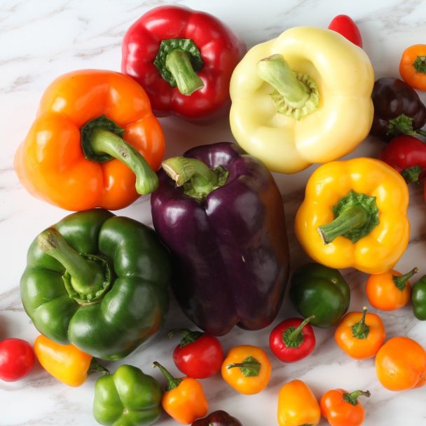 Diverse kleuren paprika