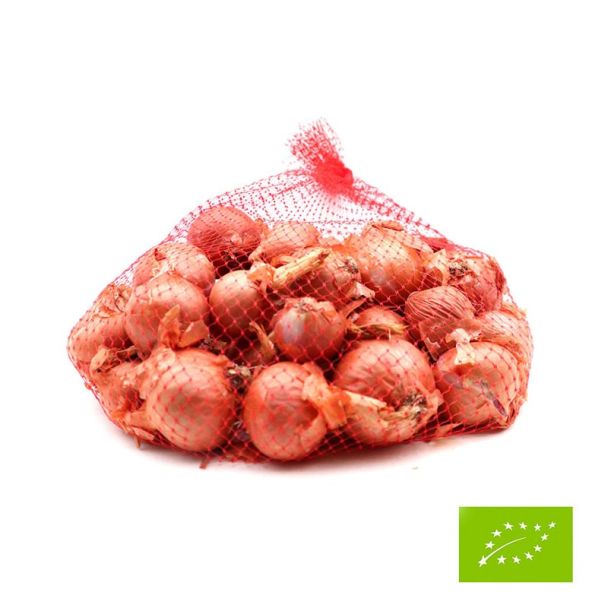 Biologische plantsjalot Biztro