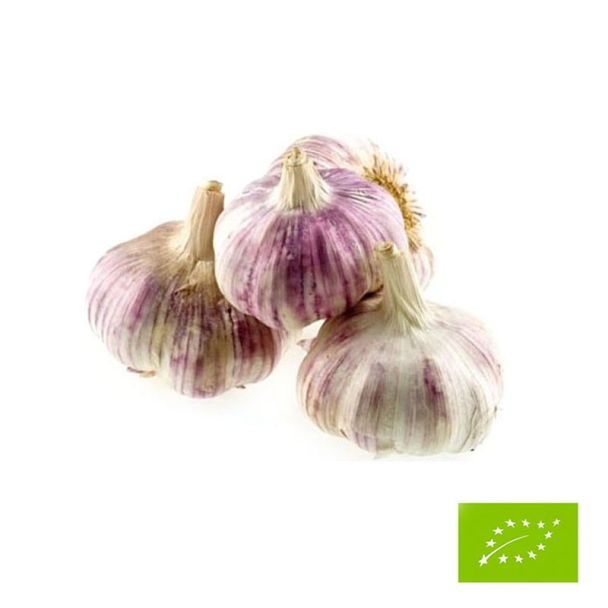 Biologische plantknoflook