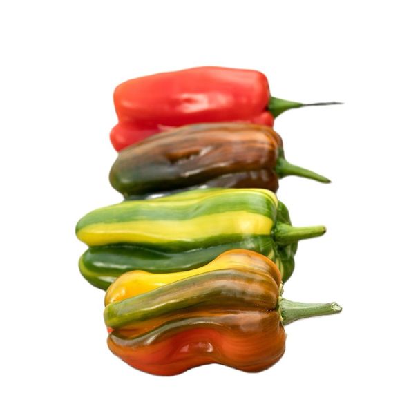 Gestreepte paprika's zelf kweken
