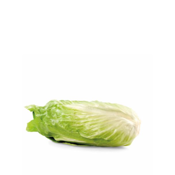 Groenlof