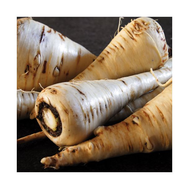 Pastinaak wortels