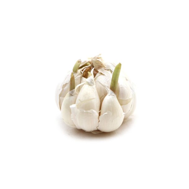 Knoflook plant je met het groene uitlopertje naar boven