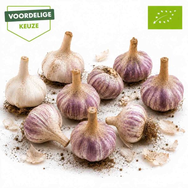 Beeld