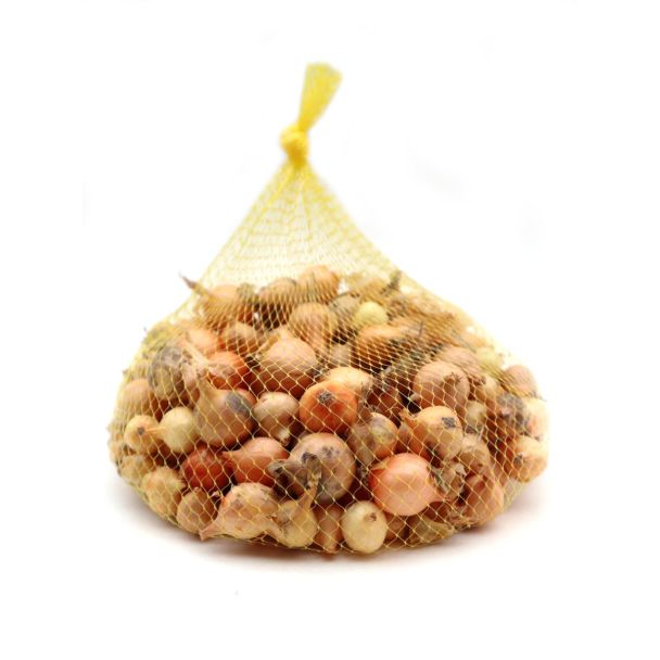Winter plantui in een netje van 250 gram. Ongeveer 50 stuks