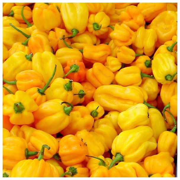 Surinaamse gele pepers