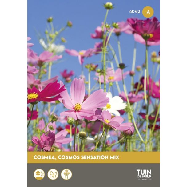 Cosmos Sensation bloemzaden