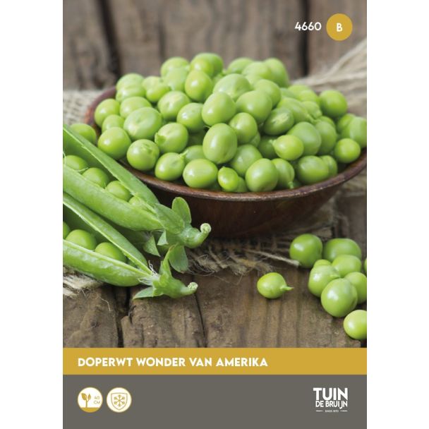 Doperwt Wonder Van Amerika