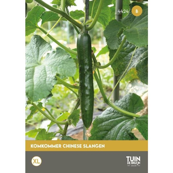 Komkommer Chinese Slangen zaden kopen