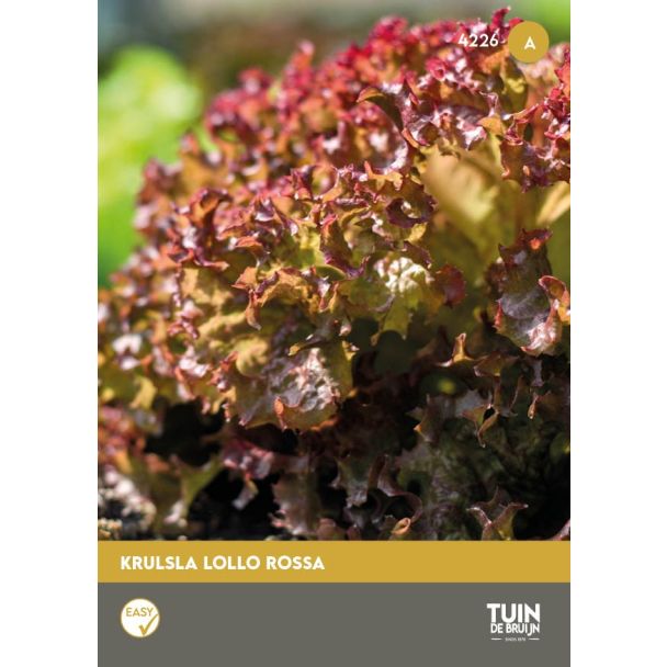 Krulsla Lollo Rossa zaden