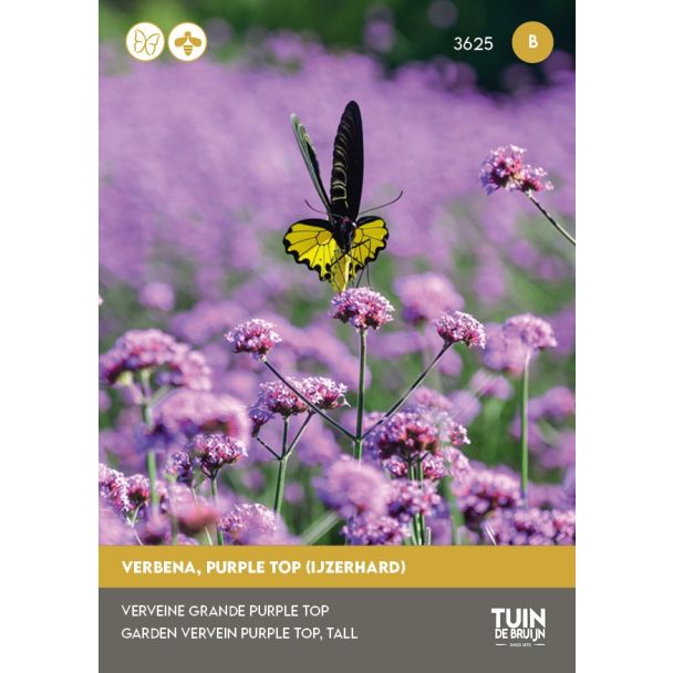 Verbena zaden Tuin de Bruijn