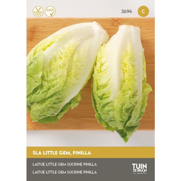 Sla Little Gem zaden kopen